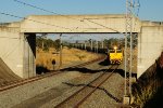 Coal dust and container in Australia 